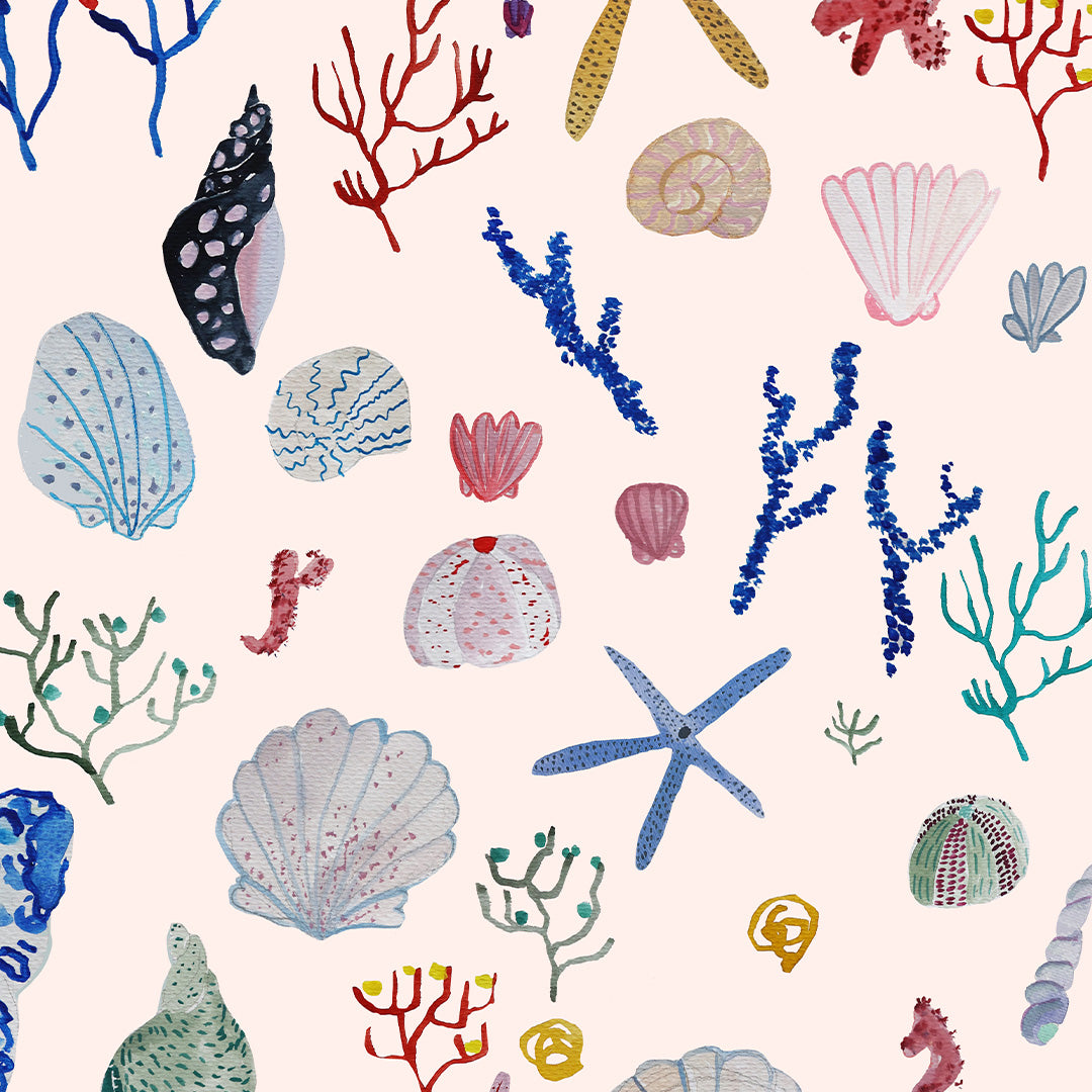 Tea Towel *Shells
