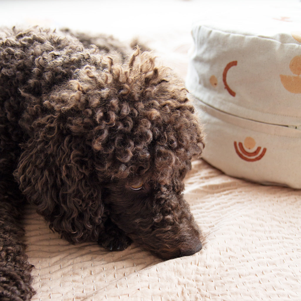 Yoga Cushion *DESERT